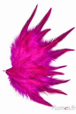 Hahnenkreuz - 8-12 cm - fuchsia